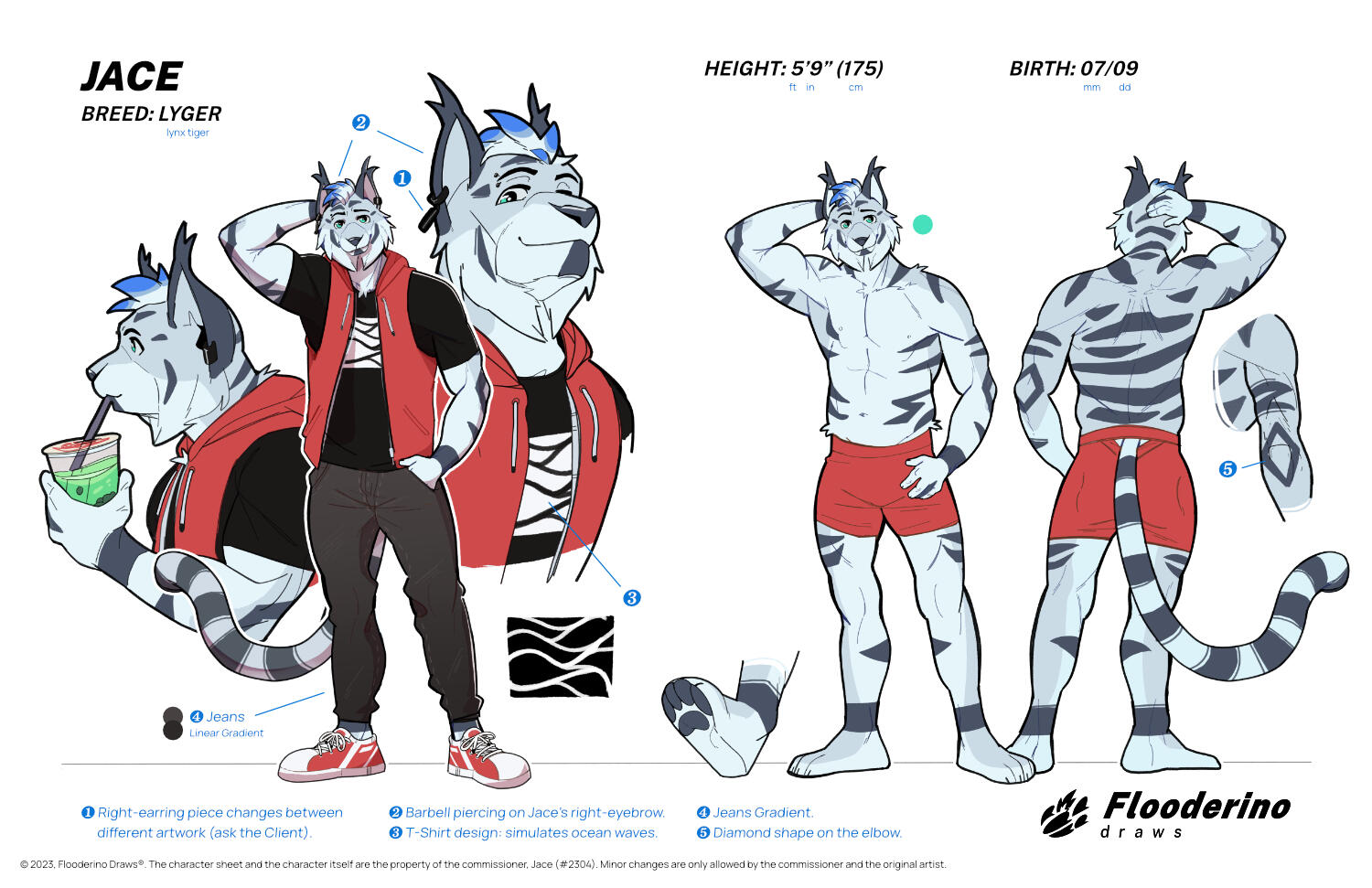 i.e. (1) front [$209], (2) back [$74], (3) 1 outfit [$69], and (4) 2 Expressions [$148] ($500, before fees)